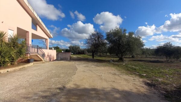 Villa bifamigliare con piscina in zona Via Gravina - immagine 10