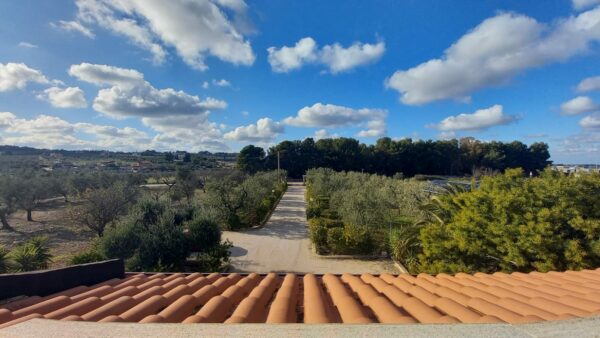Villa bifamigliare con piscina in zona Via Gravina - immagine 17
