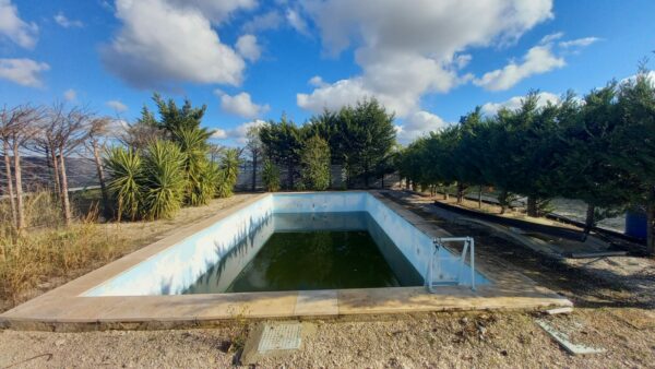 Villa bifamigliare con piscina in zona Via Gravina - immagine 9