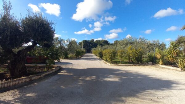 Villa bifamigliare con piscina in zona Via Gravina - immagine 18