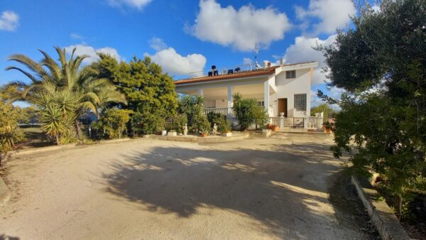 Villa bifamigliare con piscina in zona Via Gravina - immagine 3