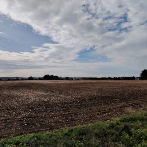 Terreno seminativo in zona Calendano