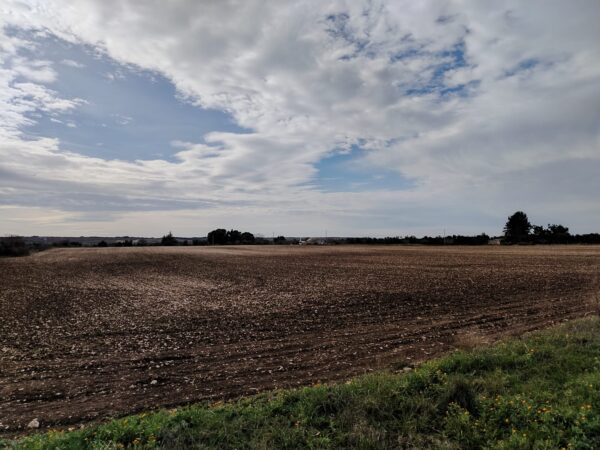 Terreno seminativo in zona Calendano