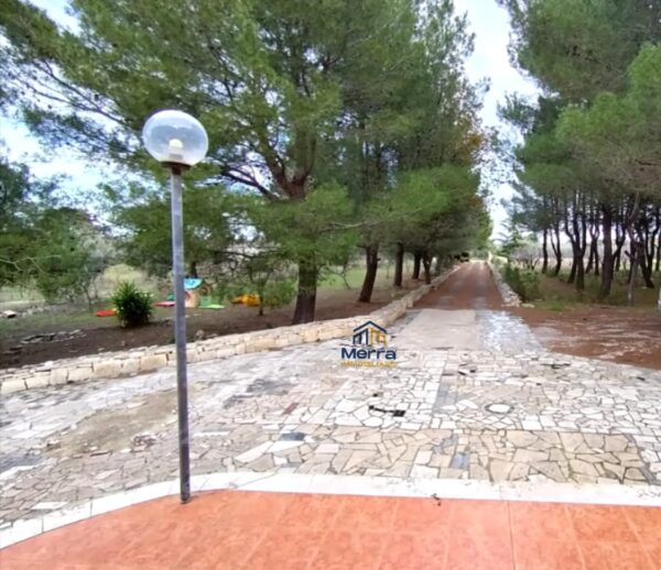 Villa in Ruvo di Puglia - immagine 11
