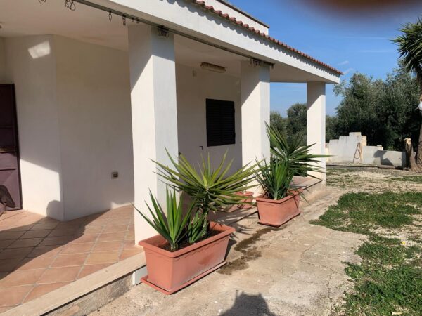 Villino in zona Via Vecchia Terlizzi - immagine 10