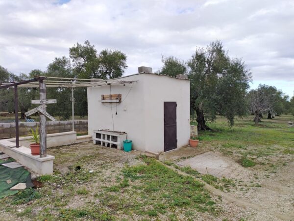 Villino in zona Via Vecchia Terlizzi - immagine 11