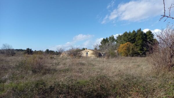 Terreno agricolo in Contrada San Giuseppe - immagine 2