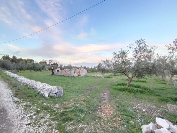 Terreno agricolo in zona Contrada San Giuseppe - immagine 2