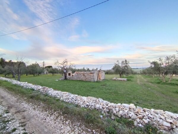 Terreno agricolo in zona Contrada San Giuseppe