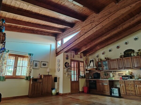 Prestigiosa Villa su II livelli con depandance in zona Via Castel del Monte - immagine 31