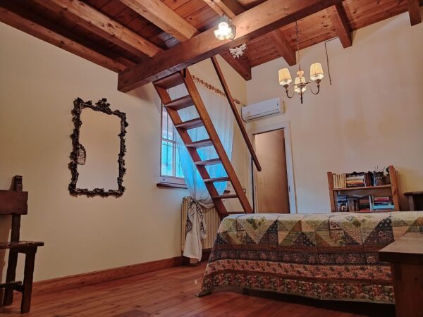Prestigiosa Villa su II livelli con depandance in zona Via Castel del Monte - immagine 36