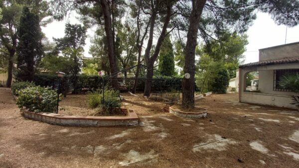 Villa in zona S.P. 231 Andria - immagine 19