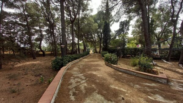 Villa in zona S.P. 231 Andria - immagine 20