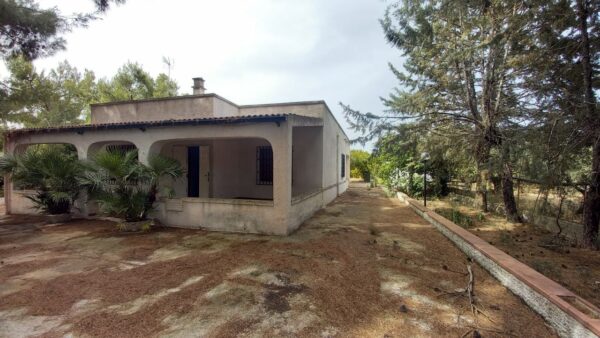 Villa in zona S.P. 231 Andria - immagine 14