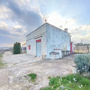 Terreno agricolo in zona Contrada Capitolo