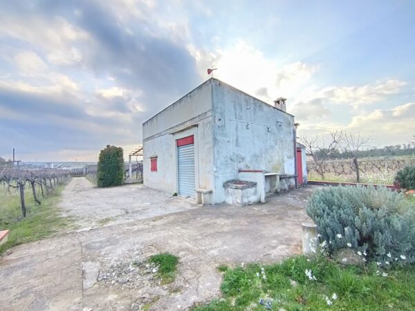 Terreno agricolo in zona Contrada Capitolo
