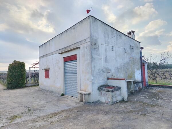 Terreno agricolo in zona Contrada Capitolo - immagine 6