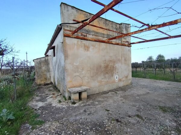 Terreno agricolo in zona Contrada Capitolo - immagine 7