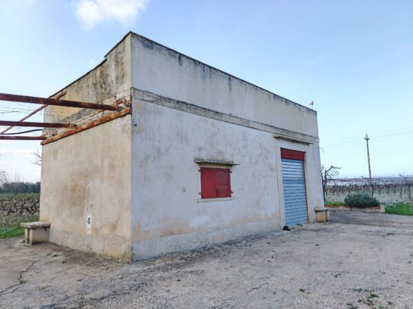 Terreno agricolo in zona Contrada Capitolo - immagine 8