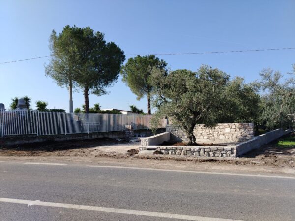 Terreno in zona Via Castel del Monte - immagine 2