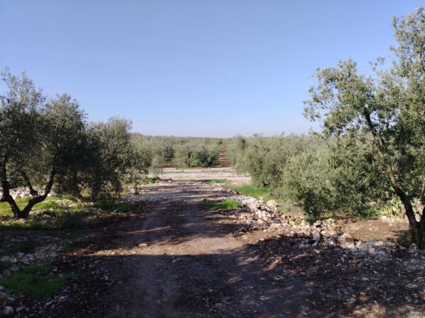 Terreno in zona Via Castel del Monte - immagine 6