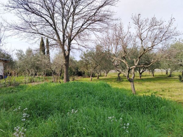 Villa in zona Via San Magno - immagine 14