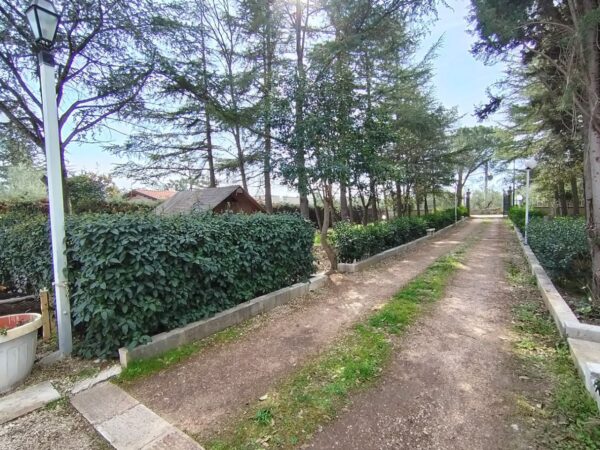 Villa in zona Via San Magno - immagine 16