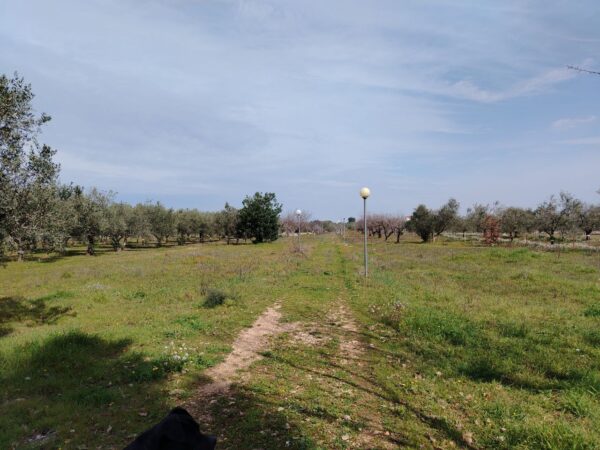 Villa in zona Via San Magno - immagine 24