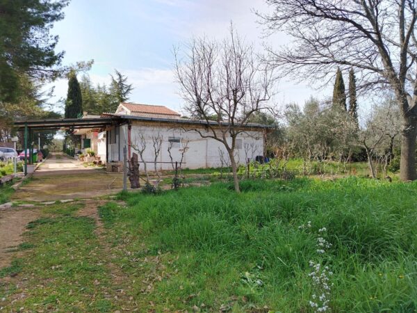 Villa in zona Via San Magno - immagine 25