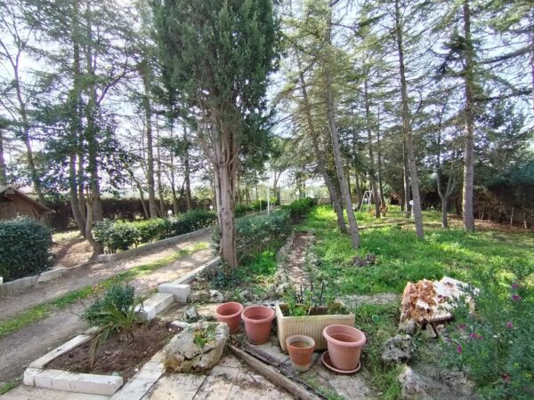 Villa in zona Via San Magno - immagine 28