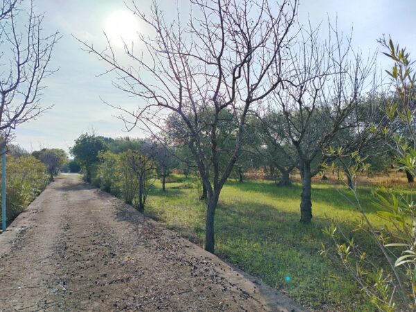 Villino con trullo in zona Contrada San Giuseppe - immagine 16