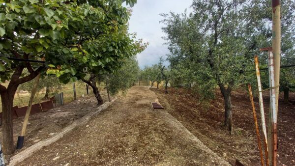 Villino in zona Bracco - immagine 19