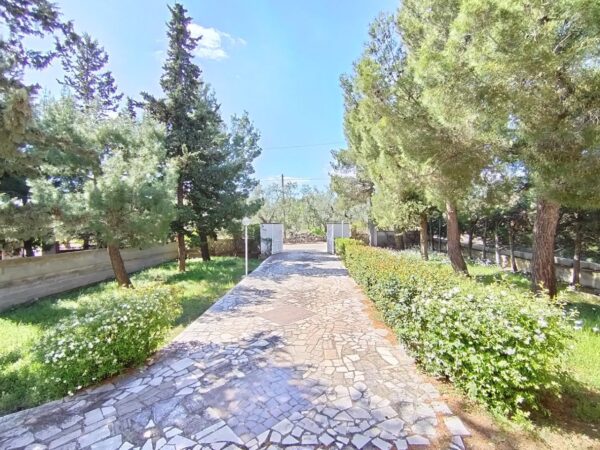 Villino in zona Via Castel del Monte - immagine 14