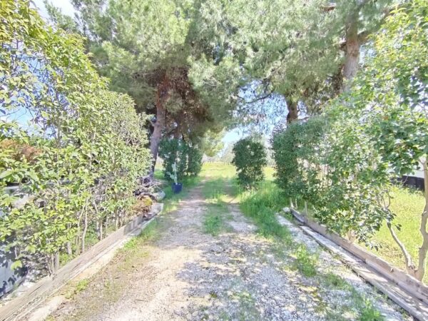 Villino in zona Via Castel del Monte - immagine 16