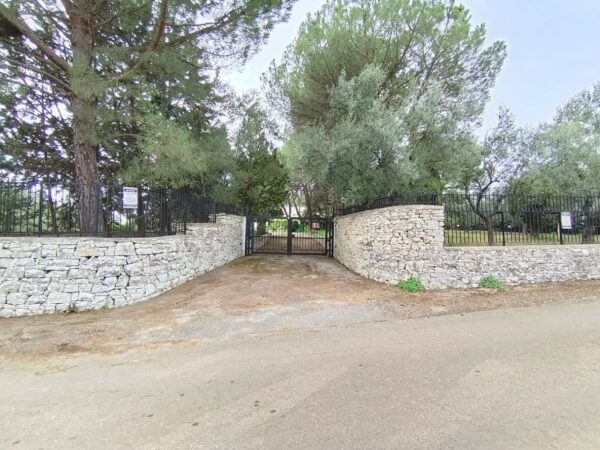 Villa immersa nel verde in zona Calendano - immagine 2