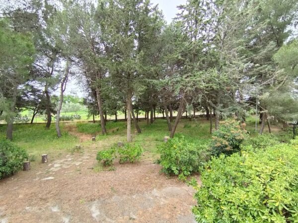 Villa immersa nel verde in zona Calendano - immagine 33
