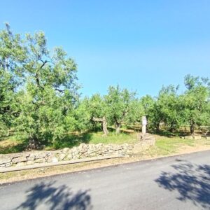 Terreno agricolo in zona Contrada Lamacupa