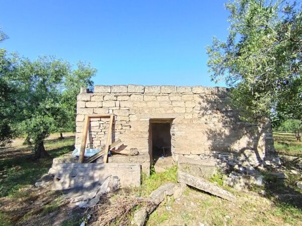 Terreno agricolo in zona Contrada Lamacupa - immagine 3