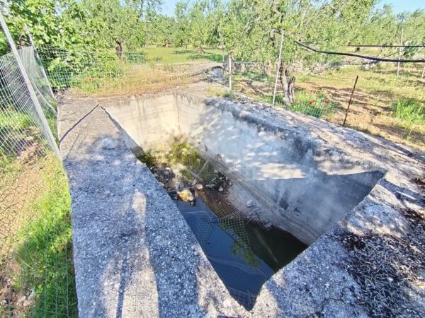 Terreno agricolo in zona Contrada Lamacupa - immagine 4