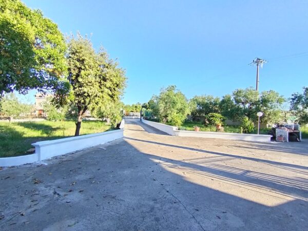Villa in zona Via Ruvo - immagine 22