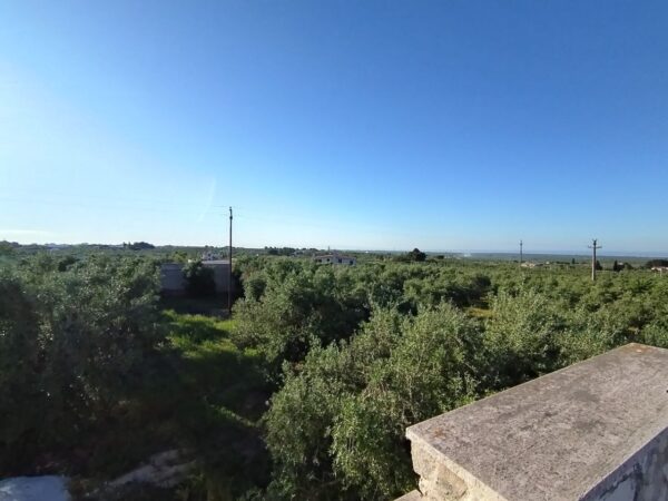 Villa in zona Via Ruvo - immagine 23