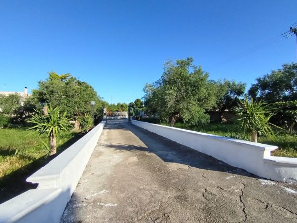 Villa in zona Via Ruvo - immagine 25