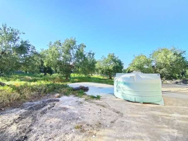 Villa in zona Via Ruvo - immagine 18