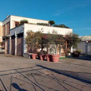 Capannone ad uso commerciale in zona Strada Ruvo - Bisceglie S.P. 85