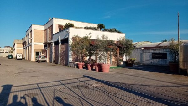 Capannone ad uso commerciale in zona Strada Ruvo - Bisceglie S.P. 85