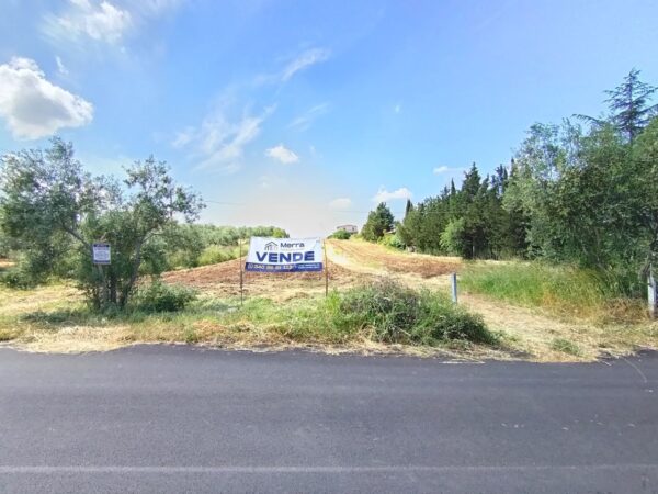 Terreno in zona Contrada Maglioferro