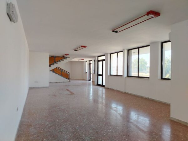 Capannone ad uso commerciale in zona Strada Provinciale 231 - immagine 5