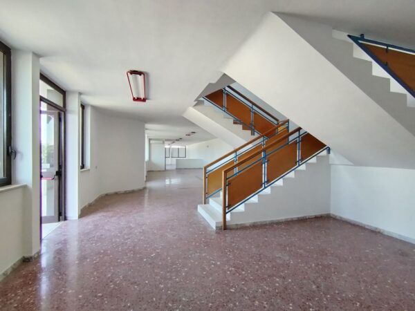 Capannone ad uso commerciale in zona Strada Provinciale 231 - immagine 9