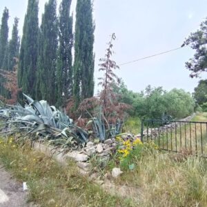 Terreno agricolo in zona Via Trani
