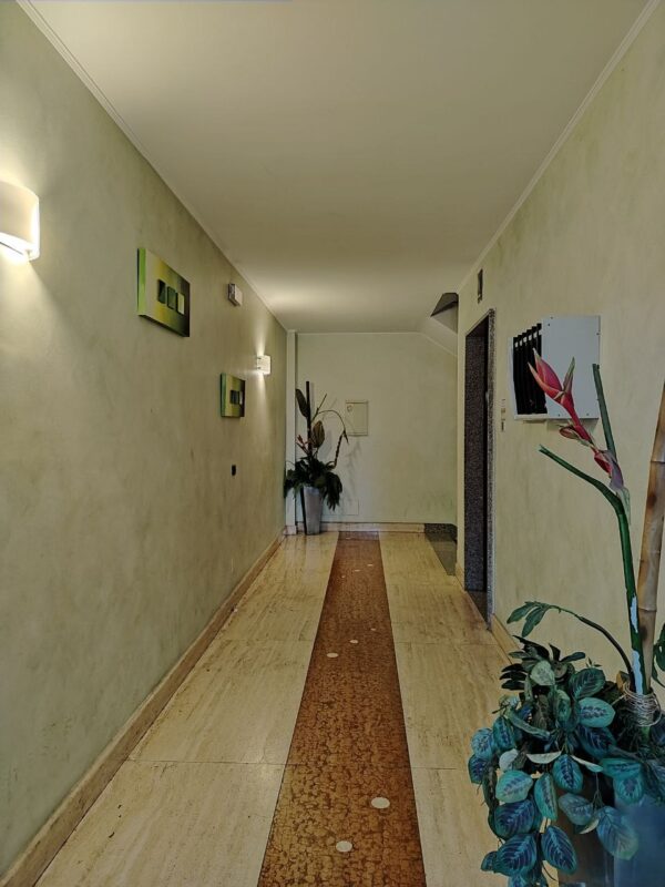 Appartamento con ascensore in zona Via Gravina - immagine 2